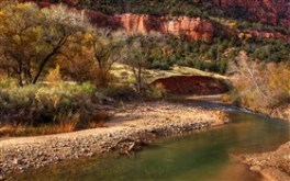 Zion Fall