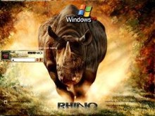 Charging Rhino