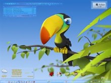 Bird Brain