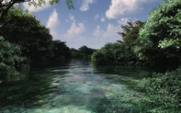 Inundation