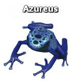 Azureus (realistic)