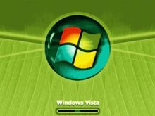 Vista Symmetric Leafs 4
