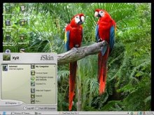 two parrots