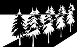 B&W Trees