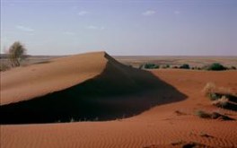 Sand Dune