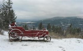 Red Wagon