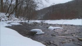 Creek Side In Winter