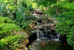 Koi Pond Waterfall