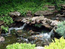 Japanese Gardens Waterfall