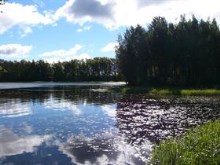 Daytime Lake