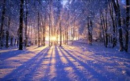 Winter Sunset- #winterdreams