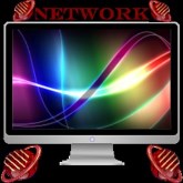NetWork