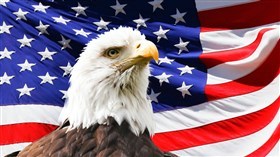 USA Eagle Flag