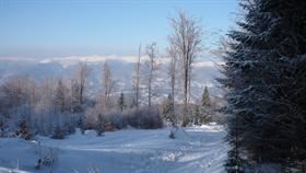 Winter  Wonderland