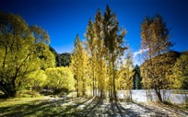 Autumn in New Zealand