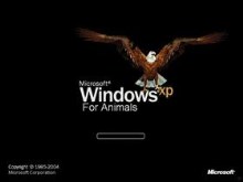 Xp For Animals 2