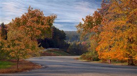 Autumn Roadside LV