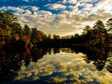 Georgia Fall Reflections