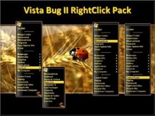 Vista Bug ll RC Pack