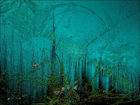 In the Deep Sea
