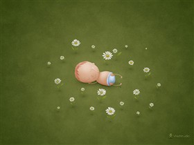 Newborn