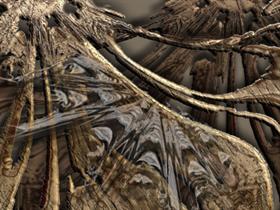 wEBS AND wOOD