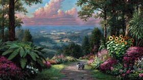 Racoon Road