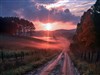 Lonely Sunset