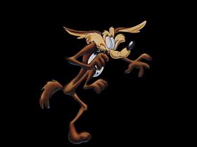 Wille Gravity