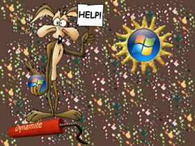 Wile E Coyote Vista