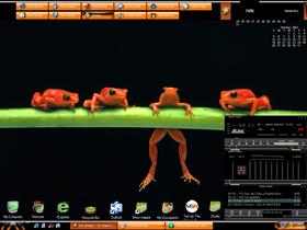 Frog Froggy Frog