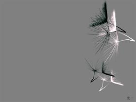 Dandy Seed