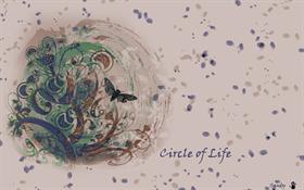 Circle of Life
