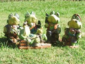 Frog Pirate Vista Logon Pack