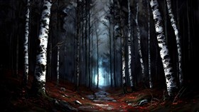 misty forest