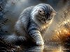 A silver cat