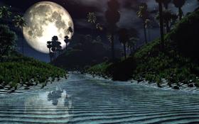 Somewhere in the Carribean - Night Scene