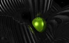 Hardwired Lime