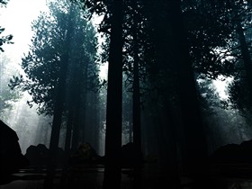 Lost in Amazon