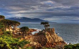 View Point