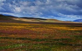 Painted Landscape