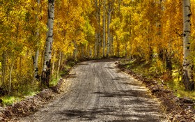 Kolob Fall II