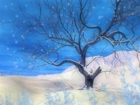 Cold Winter