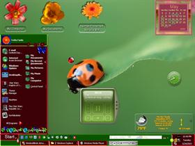 Ladybug