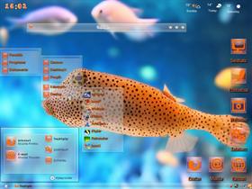 Orange fish