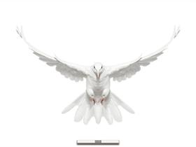 Light Bird