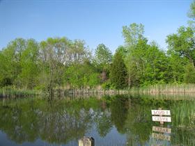 Cedar Pond