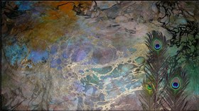 Indian Peacock_wallpak