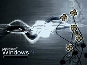 XP 40