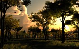 Approaching Storm